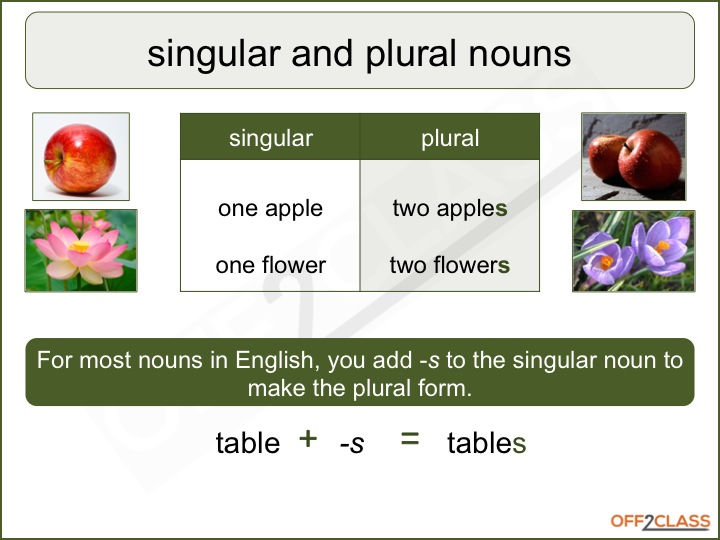 Singular Plural Lesson Plan How To Teach Off2Class